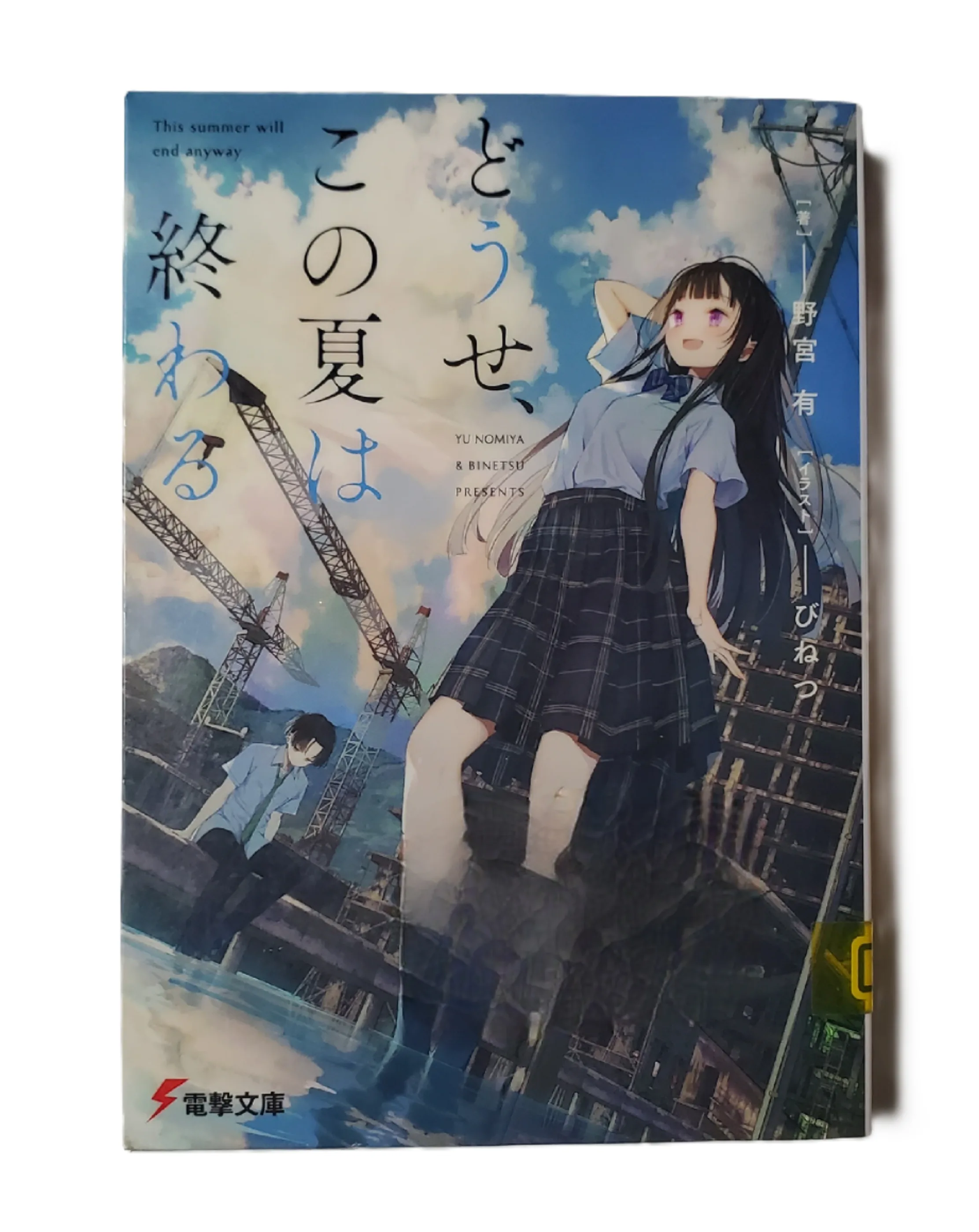 《どうせ、この夏は終わる》 野宮有