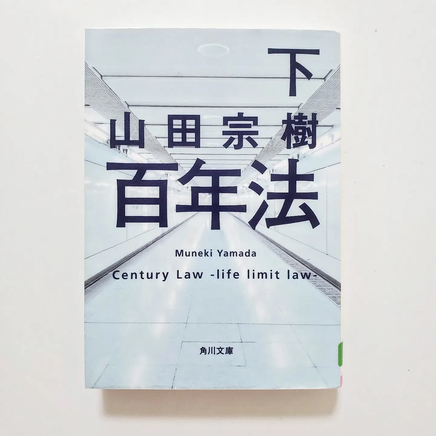 百年法 下
