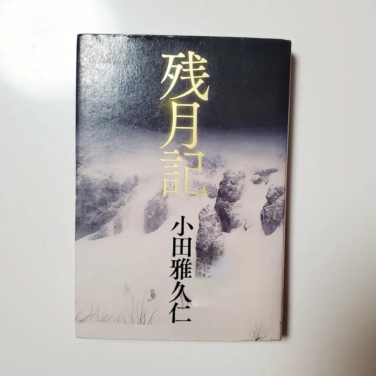 残月記 小田雅久仁 ”月”は実に奇奇怪怪な物体である。 そんな余りにも平々凡々な感想が出土して