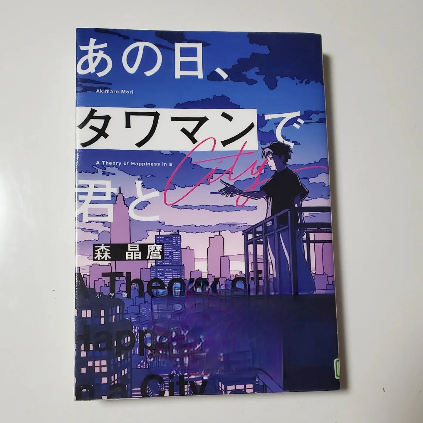 あの日、タワマンで君と