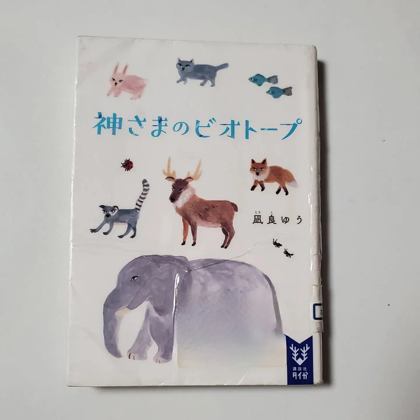 神さまのビオトープ