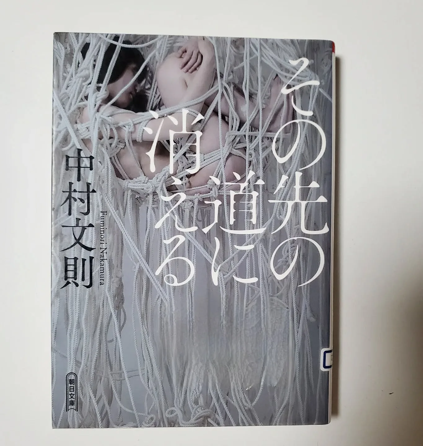 その先の道に消える