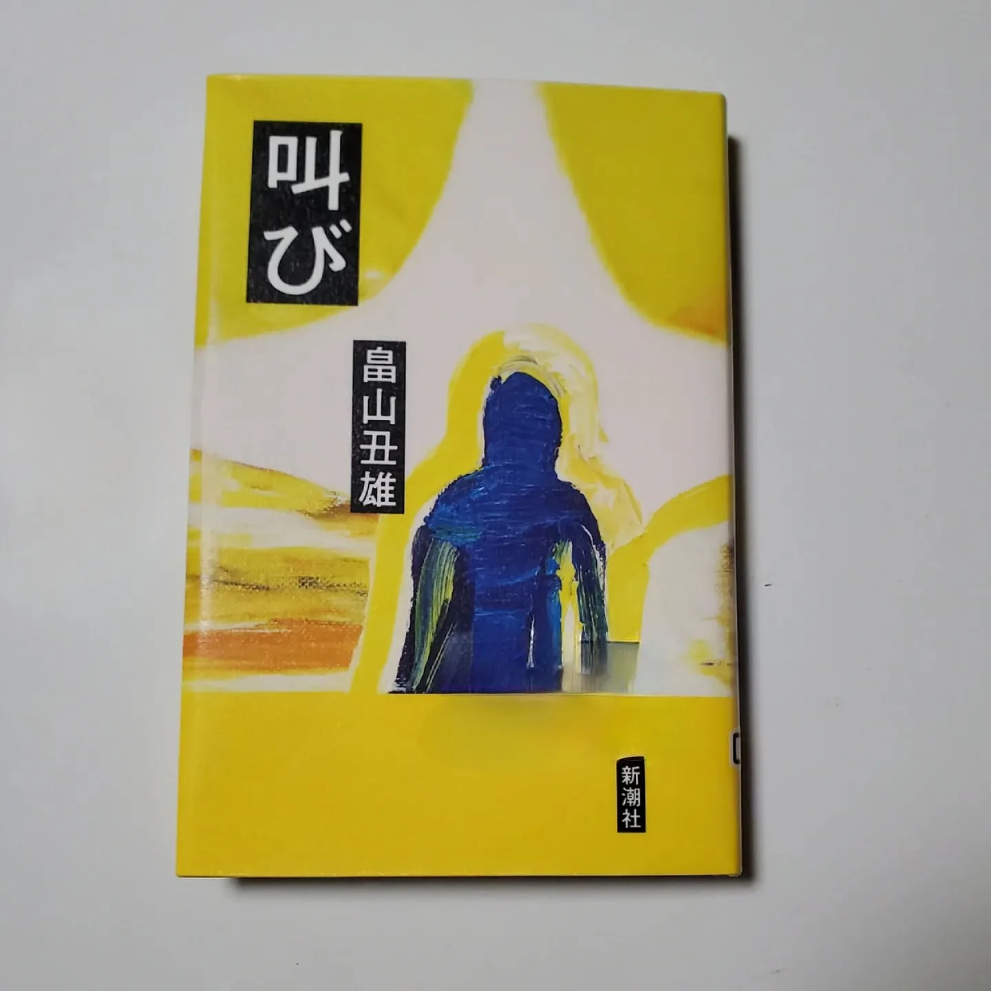 叫び 畠山丑雄 第174回芥川龍之介賞(2025年下半期)作品。 <早野ひかる>が不思議な「先生」