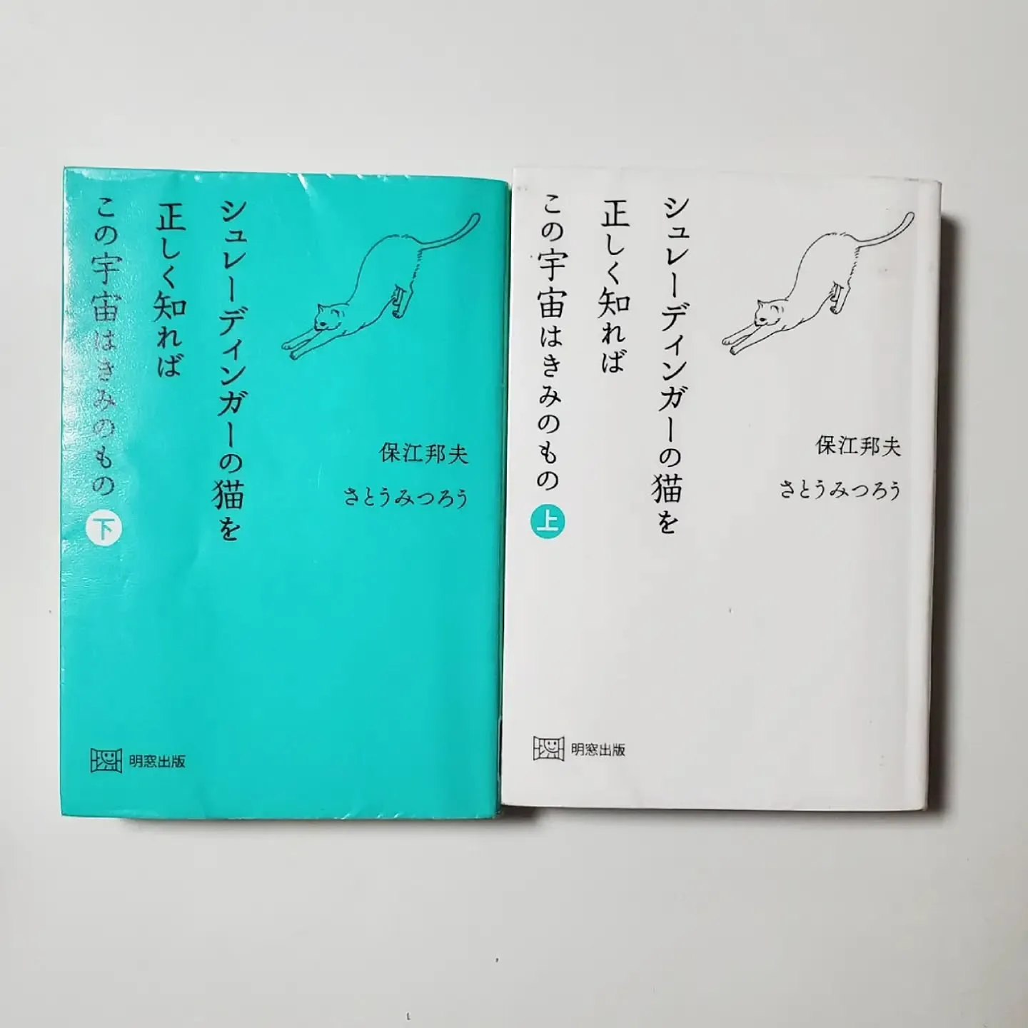 シュレーディンガーの猫を正しく知ればこの宇宙はきみのもの 上・下