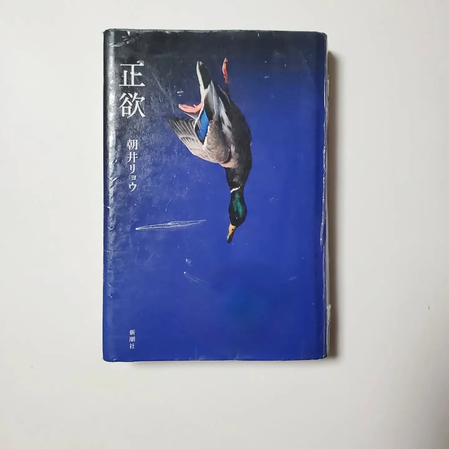 正欲 朝井リョウ これまた初読みの話題の作家。 やはり内容、文章が面白い!俯瞰的というか偏屈