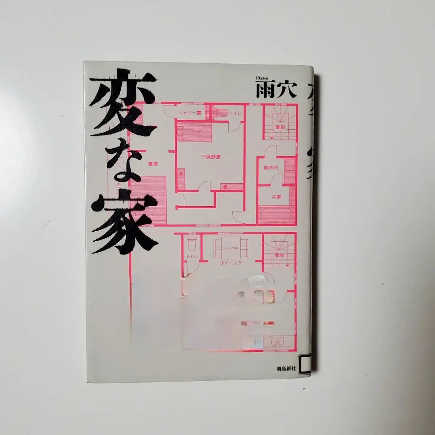 変な家 雨穴 「変な絵」に続き、読んだ作品。 かなりぶっ飛んだ話だったが、、面白い! それと”